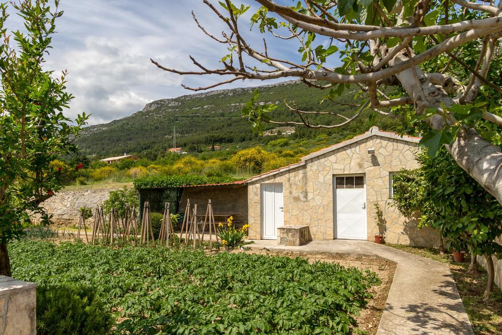 Panorama Holidays Kaštel Stari Εξωτερικό φωτογραφία